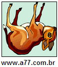 Imagem Invertida de Quadrúpede