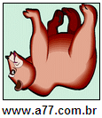Imagem Invertida de Urso