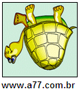 Imagem Invertida de Tartaruga