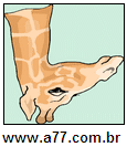 Imagem Invertida de Girafa