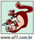 Imagem Invertida de Marrom