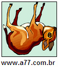 Imagem Invertida de Quatro