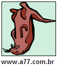 Imagem Invertida de Marmota