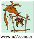 Imagem Invertida de Gato