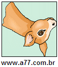 Imagem Invertida de Duas