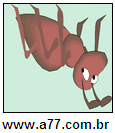 Imagem Invertida de Formiga