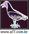 Imagem Negativa de Verde