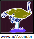 Imagem Negativa de Avestruz