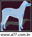 Imagem Negativa de Doberman
