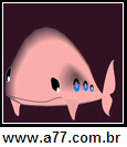 Imagem Negativa de Baleia