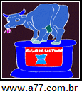 Imagem Negativa de Vaca