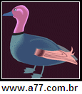 Imagem Negativa de Pato