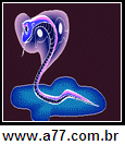 Imagem Negativa de Verde
