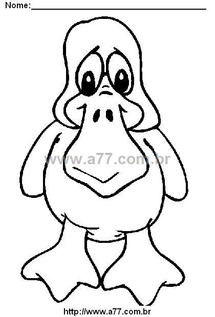 Desenho Para Colorir Ave