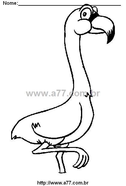 Desenho Para Colorir Ave