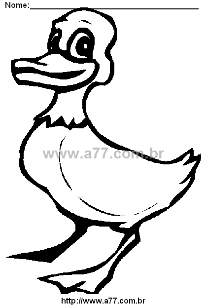 Desenho Para Colorir Pássaro
