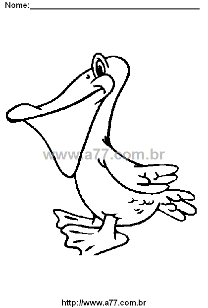 Desenho Para Colorir Pássaro