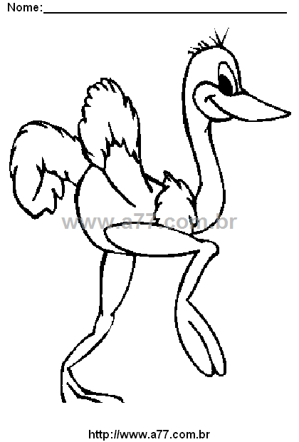 Desenho Para Colorir Ave