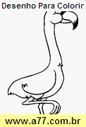 Desenho Para Colorir Ave