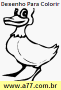 Desenho Para Colorir Pássaro