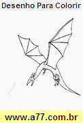 Desenho Para Colorir Dragão