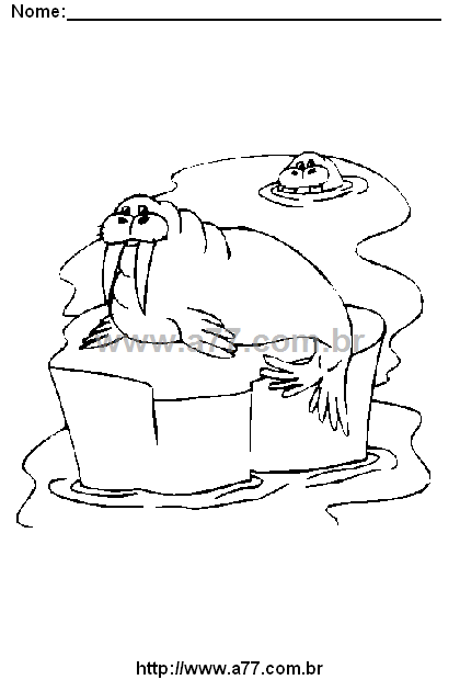 Desenho Para Colorir Esquimó