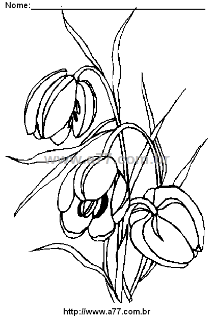 Desenho Para Colorir Flor