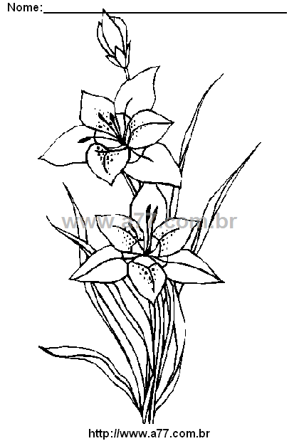 Desenho Para Colorir Flores