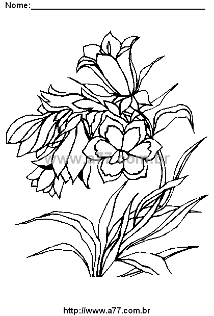 Desenho Para Colorir Florido