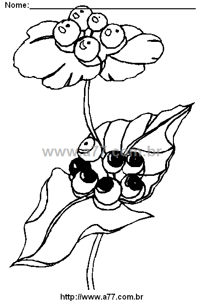 Desenho Para Colorir Jardim