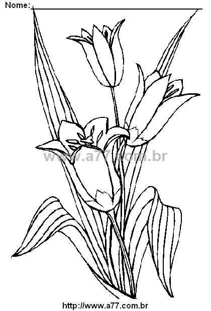 Desenho Para Colorir Florido