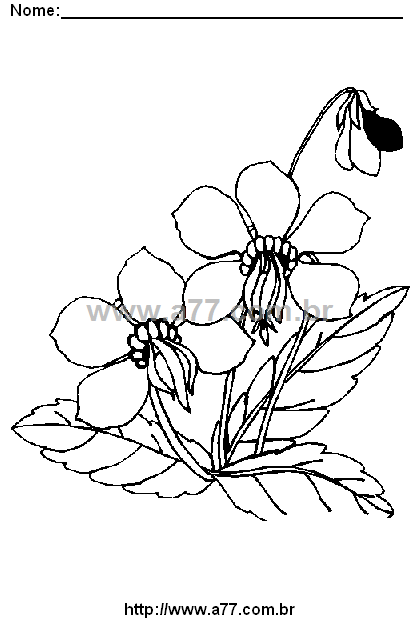 Desenho Para Colorir Flor