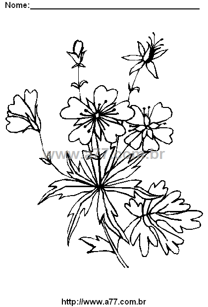 Desenho Para Colorir Florido