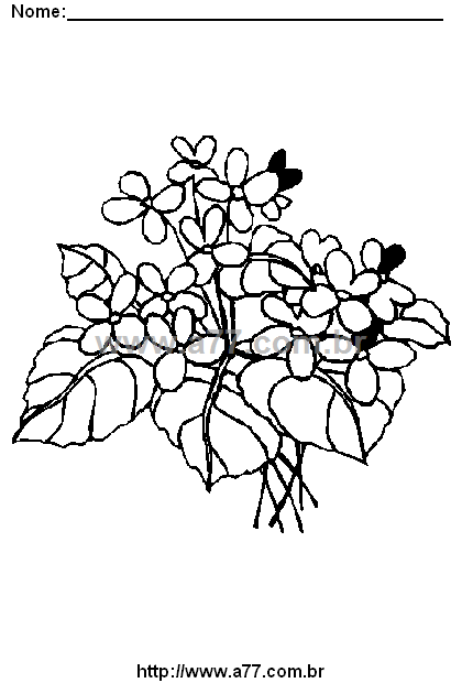 Desenho Para Colorir Jardim