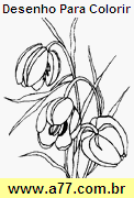 Desenho Para Colorir Flor