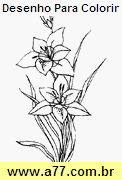 Desenho Para Colorir Flores