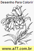 Desenho Para Colorir Florido