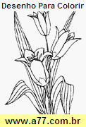 Desenho Para Colorir Florido