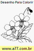 Desenho Para Colorir Flor