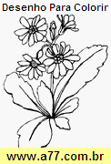 Desenho Para Colorir Flor