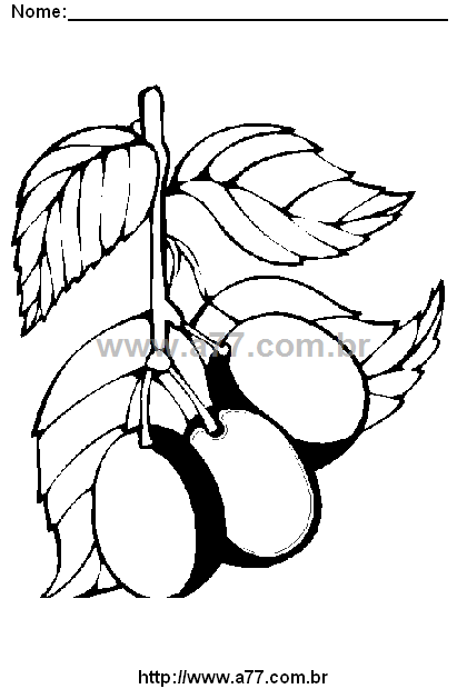 Desenho Para Colorir Frutas