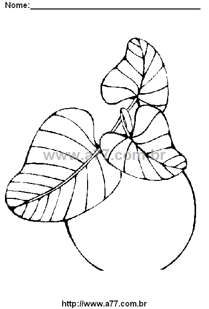 Desenho Para Colorir Fruta