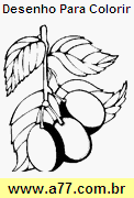 Desenho Para Colorir Frutas