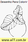 Desenho Para Colorir Fruta