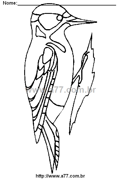 Desenho Para Colorir Passarinho