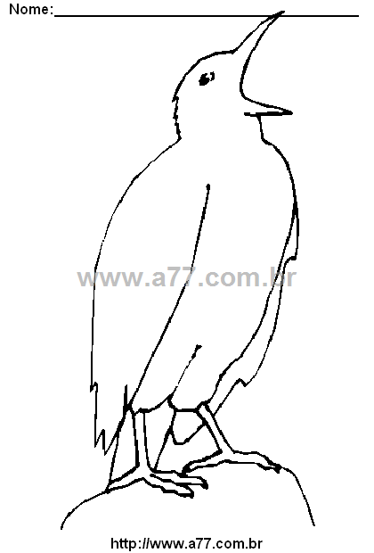 Desenho Para Colorir Ave