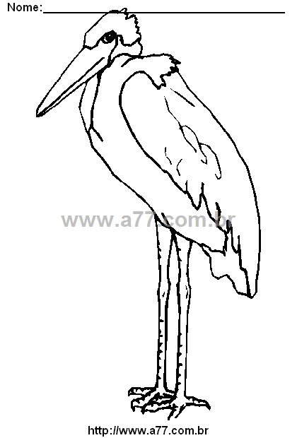 Desenho Para Colorir Passarinho