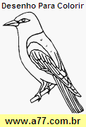 Desenho Para Colorir Pássaro