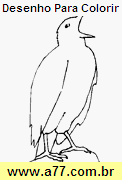 Desenho Para Colorir Ave
