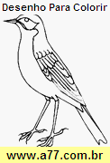 Desenho Para Colorir Passarinho